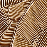 Jungle Leaves Texture Tile