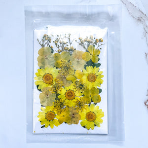 Yellows - Pressed Flower Pack